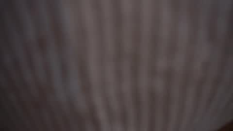 Assi  Incognito girl online show from 02/09/25, 11:14