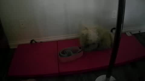 Snapshot of princesskimami chatting on 10/25/25, 12:40 princesskimami online show from 10/25/25, 12:40