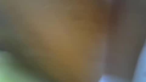 Princess online show from 11/17/25, 11:16