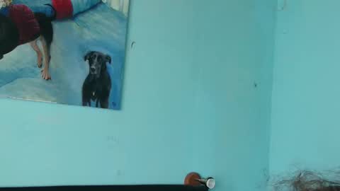 Snapshot of prxscillia_tx chatting on 11/06/25, 01:45 prxscillia_tx online show from 11/06/25, 01:45