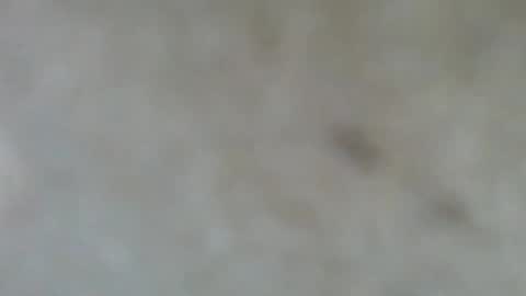 Snapshot of psachno chatting on 11/10/25, 12:37 psachno online show from 11/10/25, 12:37