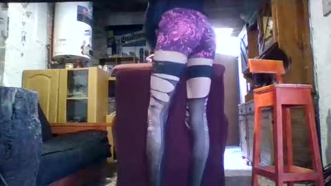 Snapshot of psasa5560 chatting on 02/24/25, 06:47 Ar Lily online show from 02/24/25, 06:47