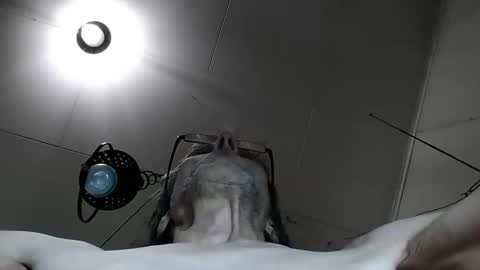 Snapshot of pulepower chatting on 01/25/25, 12:16 pulepower online show from 01/25/25, 12:16