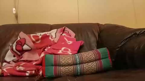 Snapshot of pulepower chatting on 11/02/25, 08:17 pulepower online show from 11/02/25, 08:17