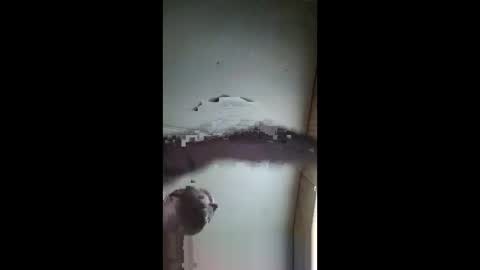 pumpingyoufull online show from 03/02/25, 08:29