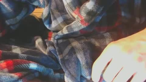 Pup Scrote online show from 02/10/25, 05:14