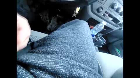 purdyguy7777 online show from 12/31/24, 06:13