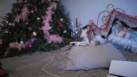 PurpleRainn69  Dina online show from 12/15/24, 02:37