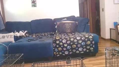 Mark online show from 10/01/25, 02:45