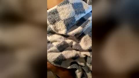 pussyeater420696953 online show from 06/16/26, 06:38