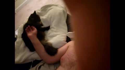 Snapshot of pussyisthreapy chatting on 12/18/25, 06:19 Sexthreeapy online show from 12/18/25, 06:19