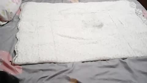 queen_ava05 online show from 07/01/26, 12:18