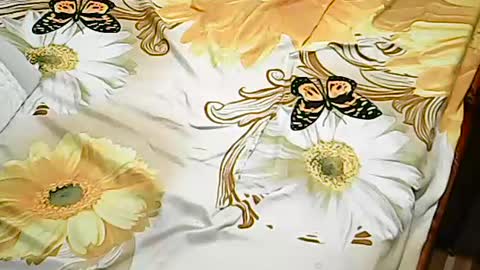 queen_ava05 online show from 07/02/26, 07:20