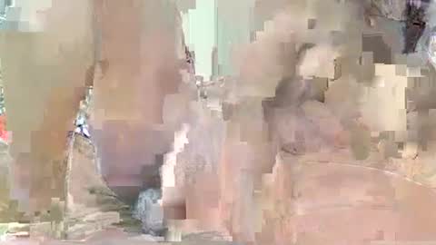 Queen Poppy online show from 07/24/26, 05:55