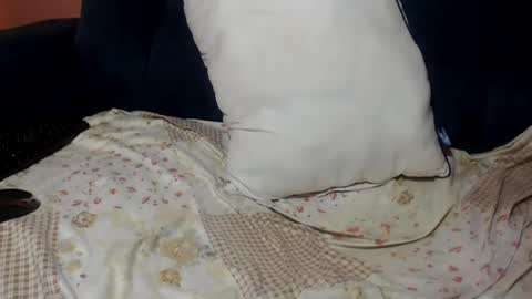 queenchloe1 online show from 07/20/26, 10:50