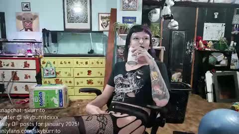 Snapshot of queer_burrito chatting on 12/29/24, 12:20 Sky Burrito online show from 12/29/24, 12:20