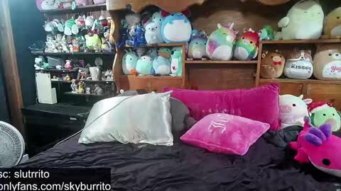 Snapshot of queer_burrito chatting on 10/06/25, 05:32 Sky Burrito online show from 10/06/25, 05:32