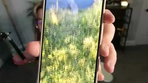 Snapshot of quervoqueen1 chatting on 11/17/25, 03:34 Bri online show from 11/17/25, 03:34