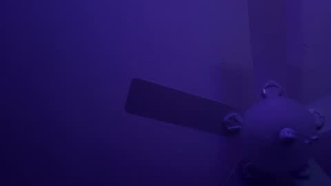 qwerty online show from 12/19/25, 09:49