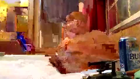 Snapshot of rabidsquirrell chatting on 02/05/25, 12:53 rabidsquirrell online show from 02/05/25, 12:53