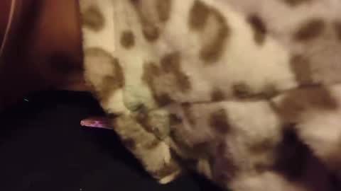 Rabbit Snake online show from 10/28/25, 03:10