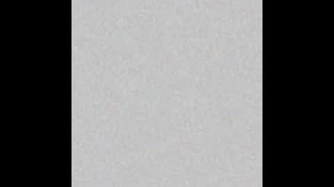 Rabbit Snake online show from 11/19/25, 02:33