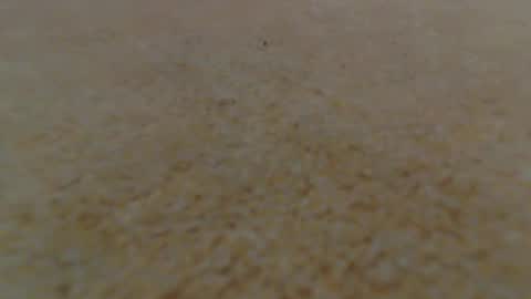 Snapshot of racefliege chatting on 01/14/25, 06:02 racefliege online show from 01/14/25, 06:02