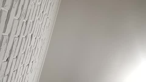 Snapshot of radu508 chatting on 10/21/25, 03:51 radu508 online show from 10/21/25, 03:51