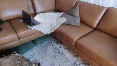 DressSock Shoe online show from 05/16/26, 10:47