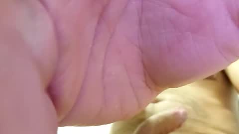 raidehot online show from 10/21/25, 11:44