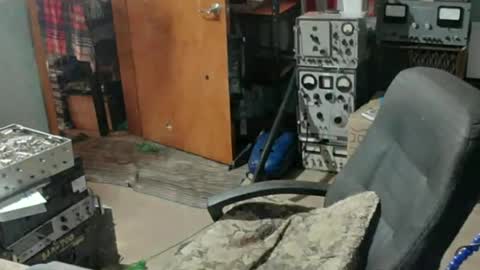 Randall online show from 07/15/26, 07:52