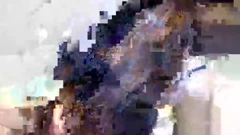 ravenblissx online show from 06/09/26, 03:56