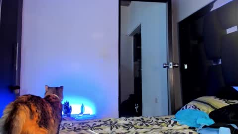 Rayn online show from 09/28/25, 09:42