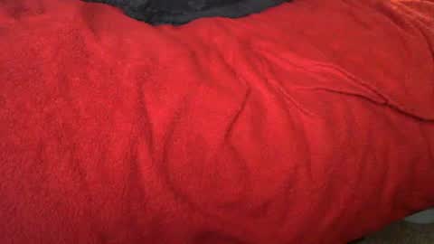 Snapshot of raymondo1964 chatting on 11/12/25, 11:47 raymondo1964 online show from 11/12/25, 11:47