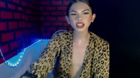 cindy online show from 12/11/24, 03:24