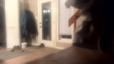 Mr Nice online show from 12/10/24, 06:22