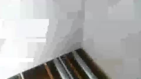 Mr Nice online show from 01/06/25, 02:48