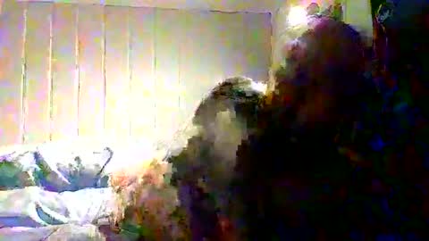 real_viking1 online show from 11/22/25, 08:13