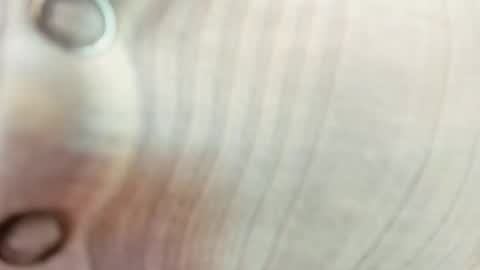 Maria  Realto online show from 09/13/25, 12:54