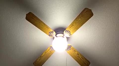 Snapshot of red24devils chatting on 11/21/25, 01:04 red24devils online show from 11/21/25, 01:04