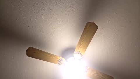 Snapshot of red24devils chatting on 12/03/25, 05:04 red24devils online show from 12/03/25, 05:04