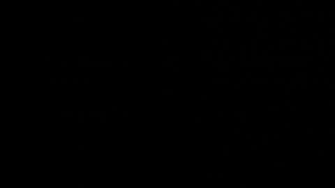 Neta online show from 10/22/25, 12:44