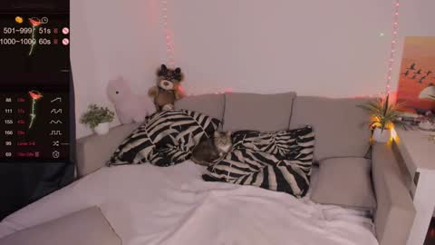 Mia online show from 02/02/25, 08:41