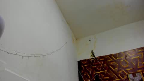 Snapshot of reed_kitty chatting on 12/15/25, 12:42 reed_kitty online show from 12/15/25, 12:42