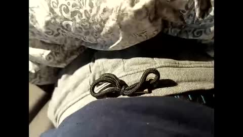 Snapshot of reedy123456789 chatting on 10/22/25, 09:20 reedy123456789 online show from 10/22/25, 09:20