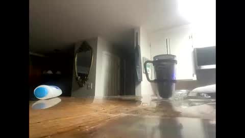 Lee online show from 10/15/25, 03:39