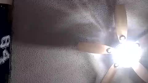 Snapshot of rg120 chatting on 12/02/25, 12:43 rg120 online show from 12/02/25, 12:43