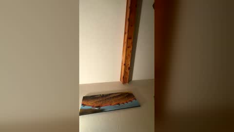 Snapshot of rhinodickasaurus chatting on 12/17/25, 07:58 RhinoDickasaurus online show from 12/17/25, 07:58