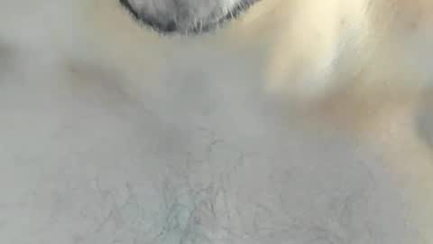 ricardogonzalez666 online show from 12/10/24, 04:24