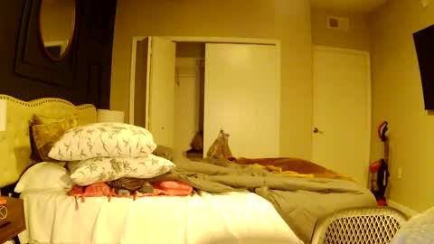 richierich813 online show from 10/03/25, 07:16